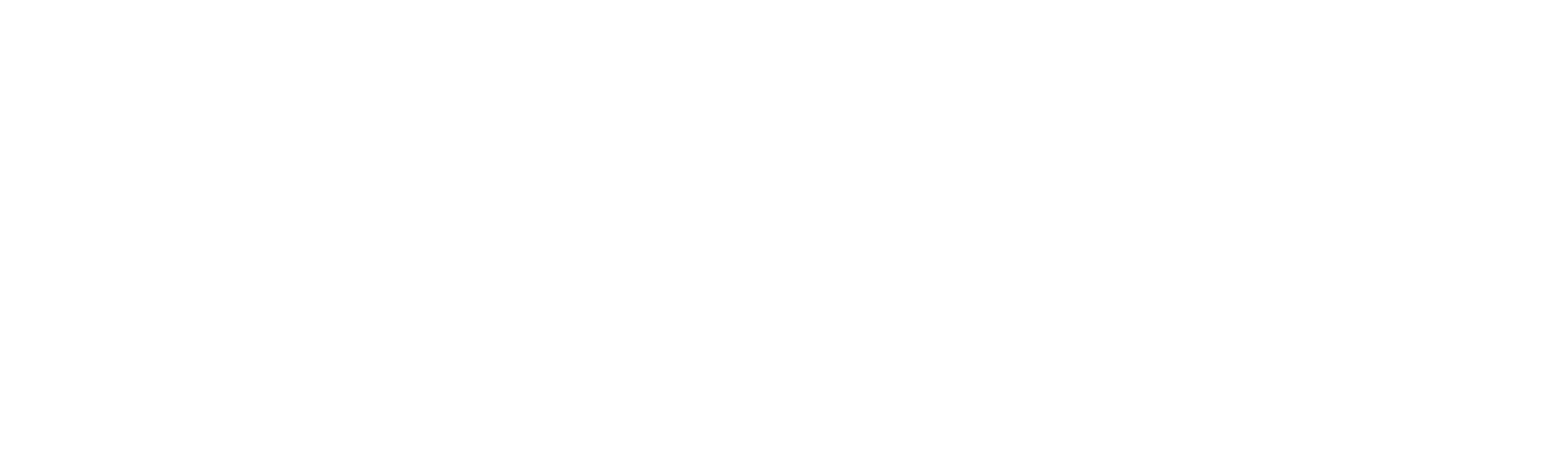 Tinderbox Business Development logo white